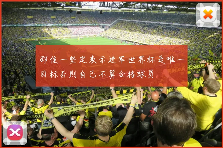 邵佳一坚定表示进军世界杯是唯一目标否则自己不算合格球员